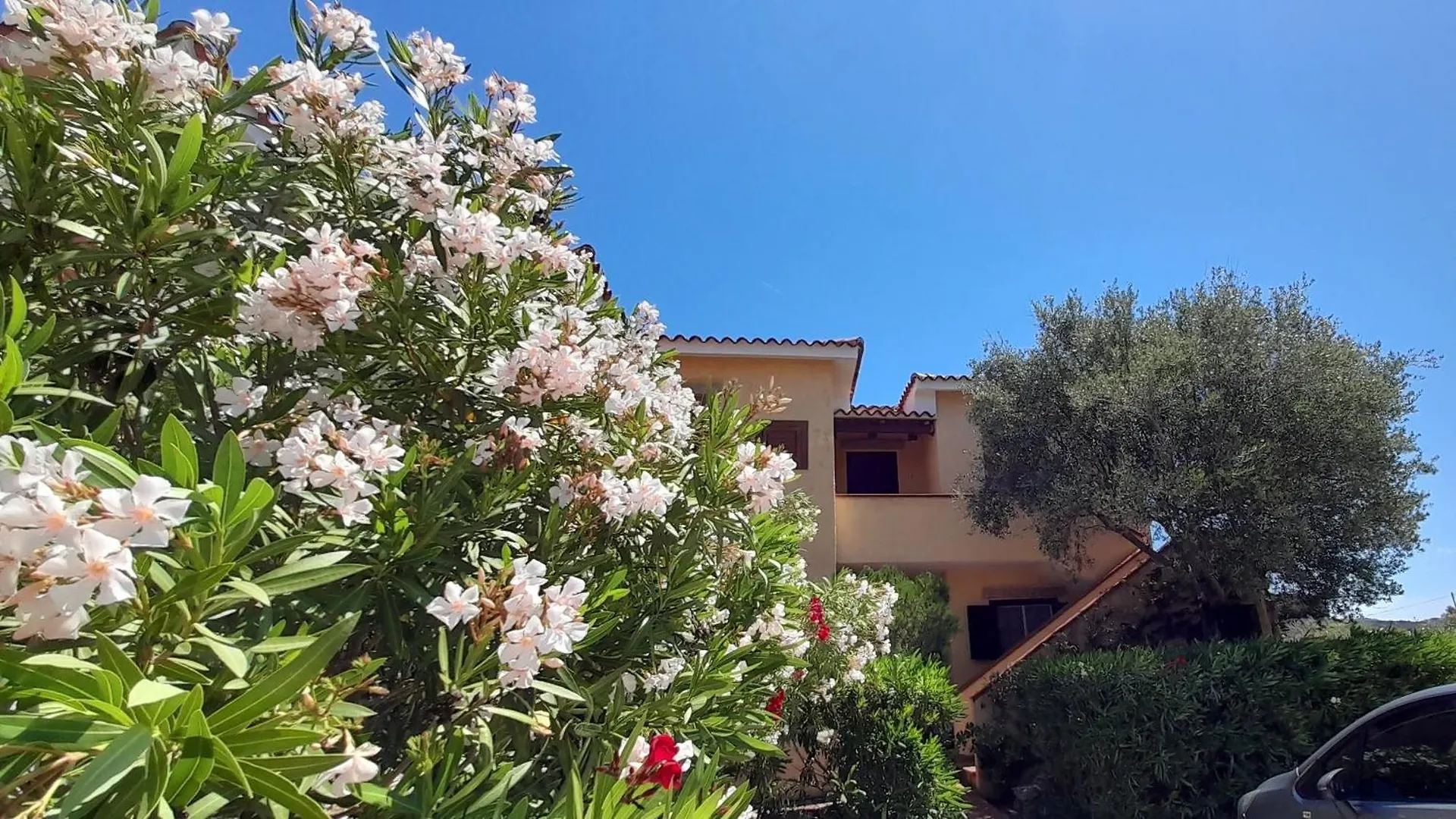 Apartment Appartamenti Cannigione La Conia Italy