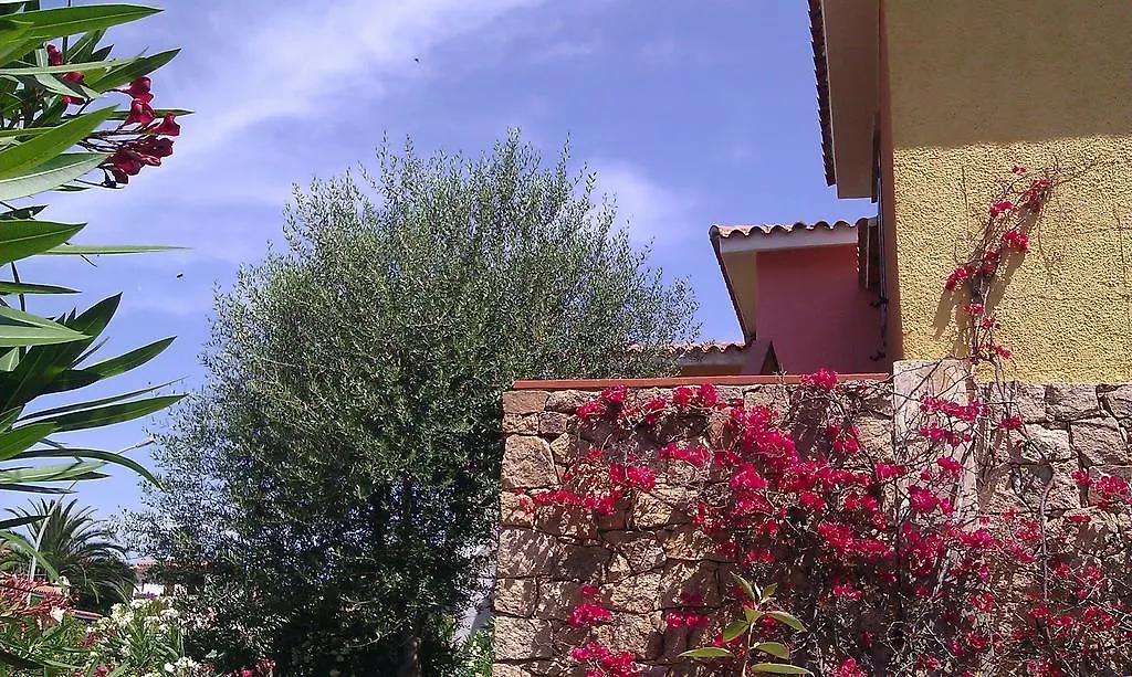 Apartment Appartamenti Cannigione La Conia